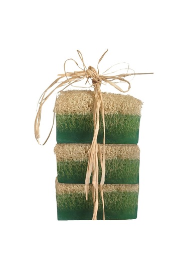 Turkishcare Doğal Kabak Lifli Aloe Vera Sabun 3 x 120 G