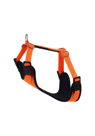 Actirex Neon Cool Köpek Göğüs Tasması Turuncu L 50 x 70 CM Turuncu