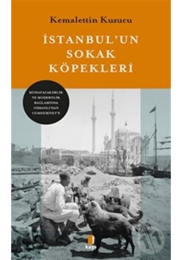 İstanbul'un Sokak Köpekleri - Kemalettin Kuzucu - Kapı Yayınları