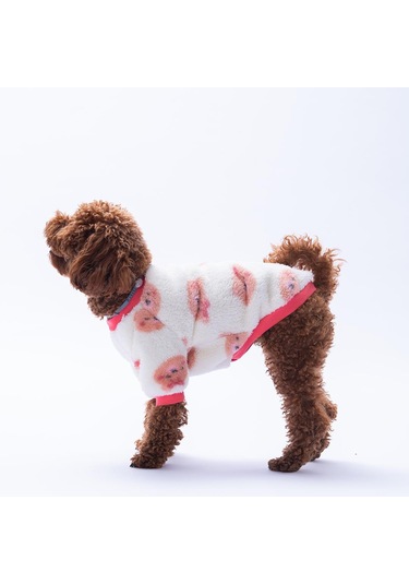 Fluffy Face Ayı Desenli Sweat Kedi Köpek Sweati Kedi Köpek Kıyafeti Köpek Peluşu Sıcak Tutan Sweat