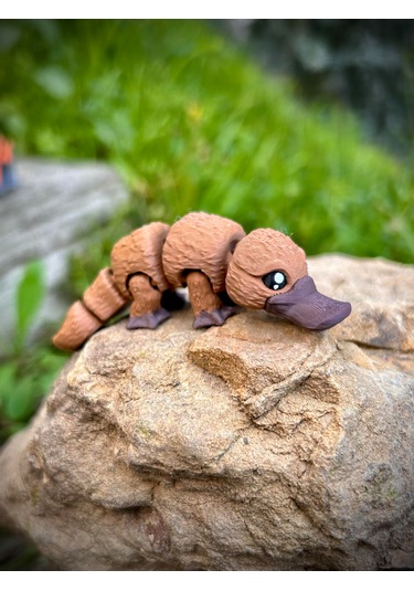 Ornitorenk Oyuncak 3d Hareketli Organik Vip Model- Orta Boy