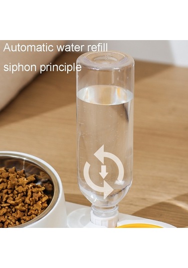 Cbtx Kedi Ve Köpek Mama Ve Suluk Pet Yeme Seti Kombinasyon Kasesi Mor