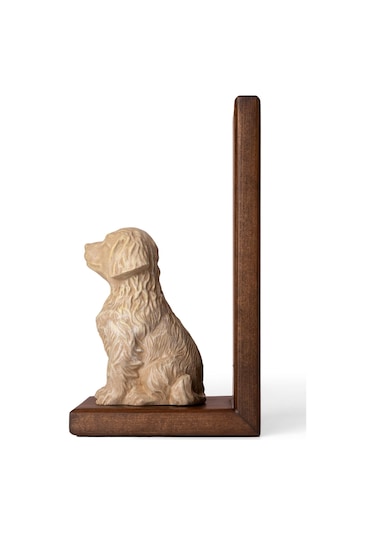 Can Dostum Köpeğim Kitap Desteği