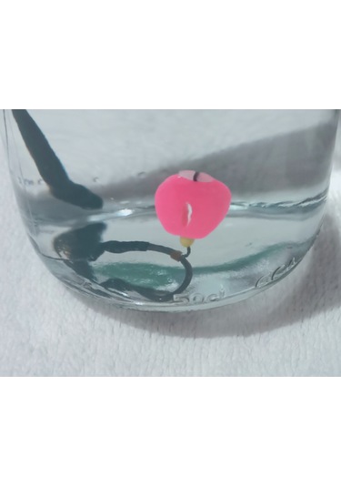 Gezer Kurşunlu Leadcore'lu Sazan Rig Takımı Tek Pembe Esp Mısırlı