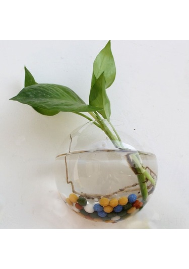 Symbee Modern Yarı Daire Asma Vazo: Su Bitkileri Ve Çiçekler İçin Şık Cam Dekorasyon