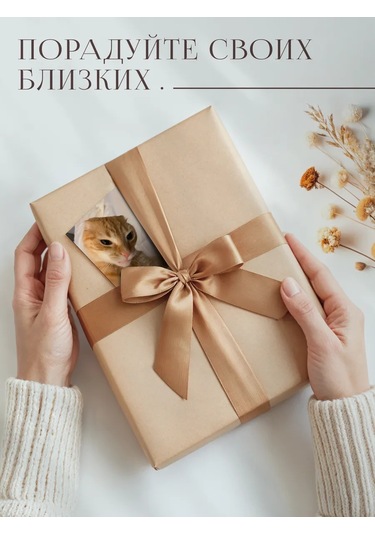 Posuta Mini Kedicikler Meme Kartları 366154401