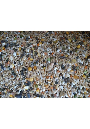 KARIŞIK GÜVERCİN YEMİ 10 KG BUĞDAYLI