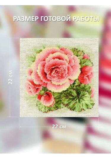 Rıolıs Begonyası 2122 Çalışma Seti 22x22cm 150441581