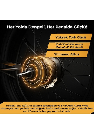 Roxform R-200 Pro Elektrikli Katlanabilir Bisiklet 10ah Shimano Altus Hidrolik Fren Şehir Bisikleti Titanyum Mavi