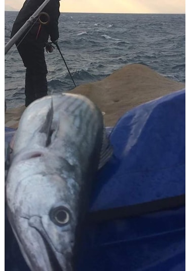 Sardin2 29gr - Yem Kaşık Rapala - Levrek, Palamut, Lüfer, Çineko