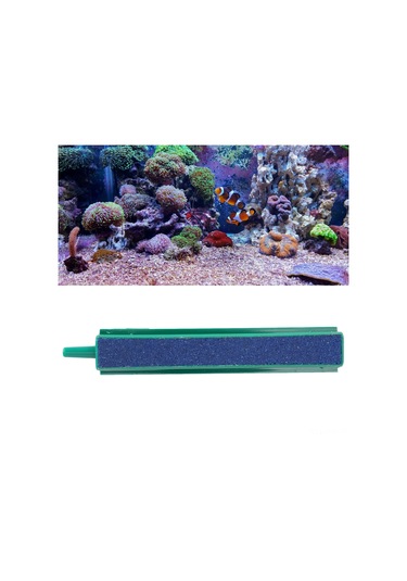 Moveevo Akvaryum Zenginleştirici Sandalye Tipi Hava Taşı Çubuk - 15cm, Balık Sağlığı İçin均匀 Hava Verimi, Suyun Temiz Ve Canlı Tutulması