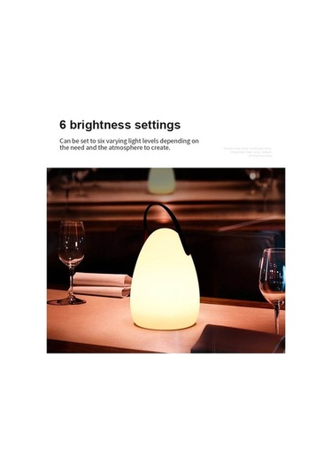 Dancemonkey Taşınabilir Kamp Lambası 16 Renkli Masa Işığı Çok Renkli