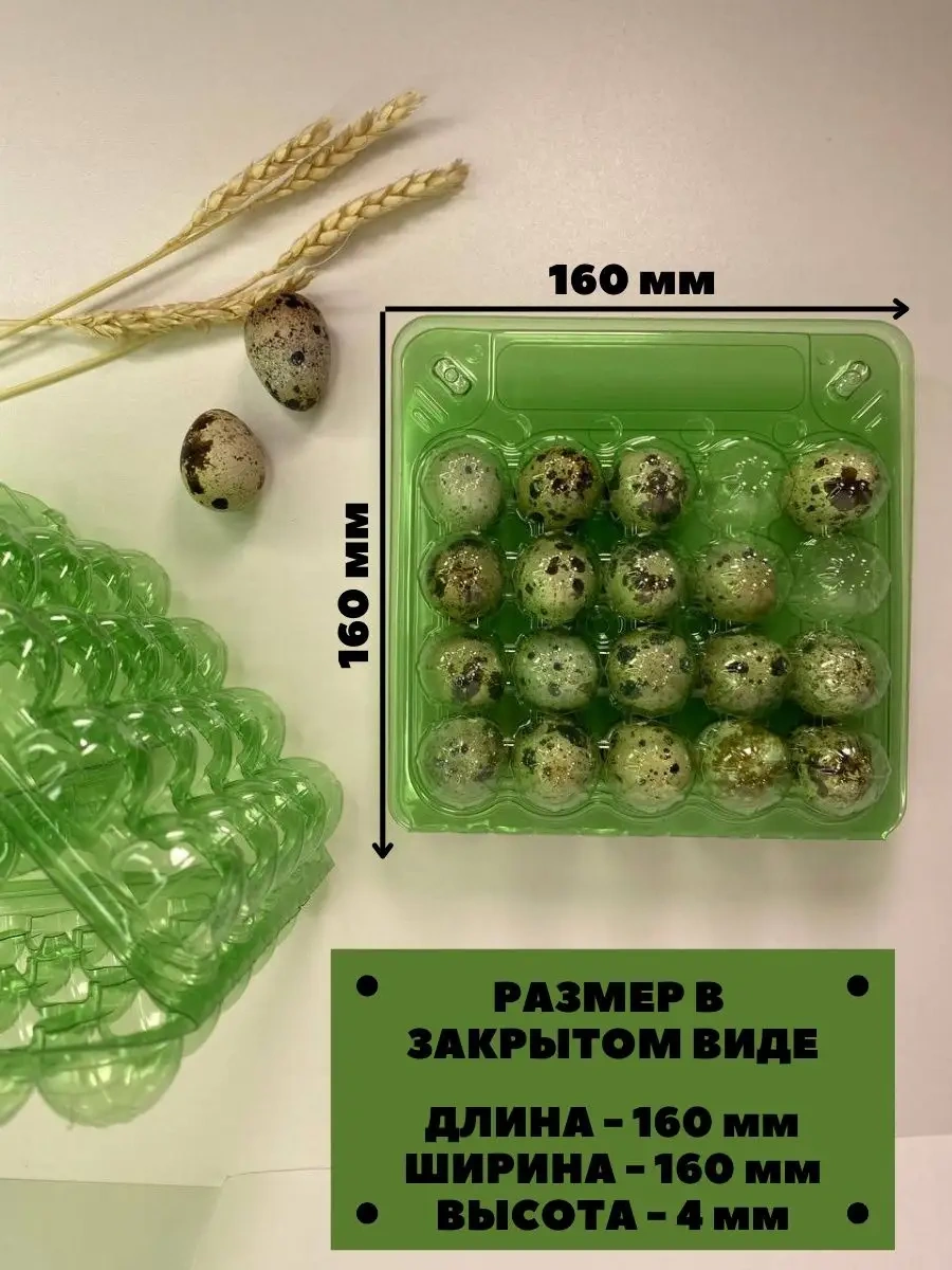 Tpt Bıldırcın Yumurtaları İçin 20 Gözlü Kutu - 100 Adet 119389110 Yeşil