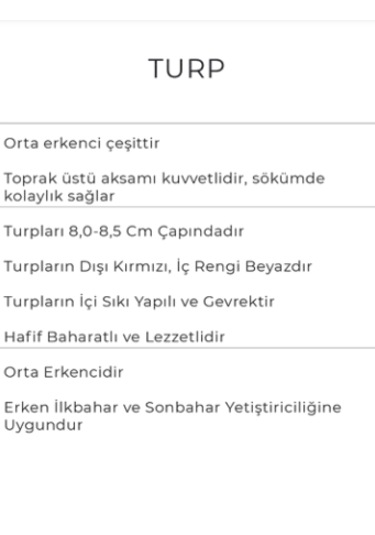 Turp Tohumu 10 Gr Kırmızı Iri