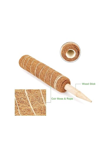 Diğer Tırmanan Pratik Lifli İçin Hindistan Destek Çubuğu Çözüm Cm Cevizi Bitkiler Bitki Adet 45 4 - Ol