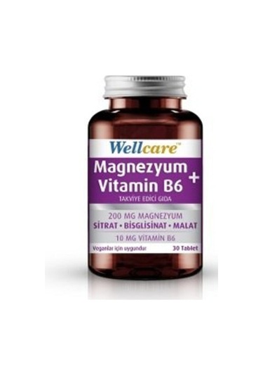 Wellcare Magnezyum Vitamin B6 Takviye Edici Gıda 30 Tablet