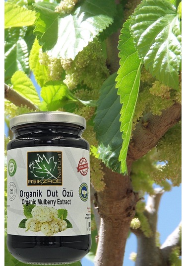 Aşıkzade Organik Özler Seti 3'lü