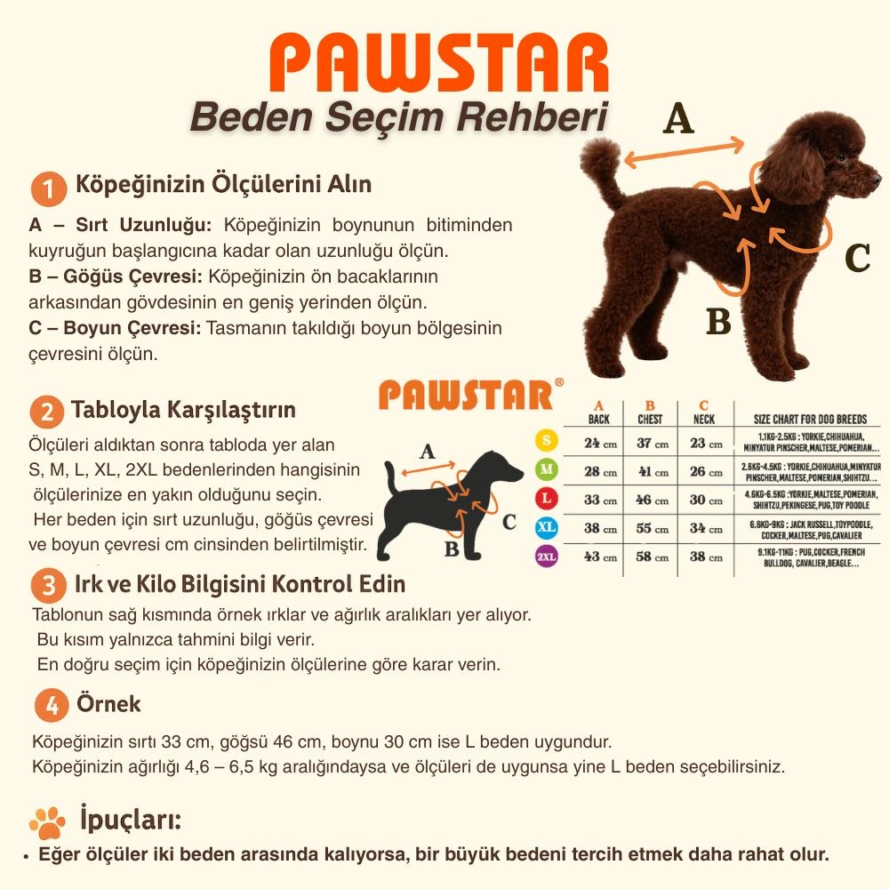 Mor Pluvia V25 Köpek Mont Köpek Yağmurluk Köpek Kıyafeti Köpek Elbisesi