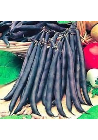 200 Adet Tohum Nadir Etiyopya Organik Siyah Fasülye Fasulye Tohum