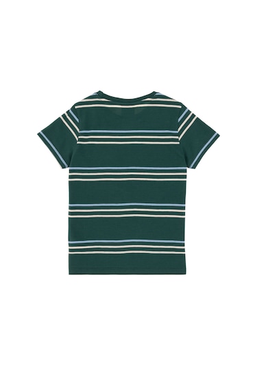 U.s. Polo Assn. Erkek Çocuk Koyu Yeşil Tişört Basic 50295562-vr079 Koyu Yesıl Koyu Yeşil U.s. Polo Assn. Erkek Çocuk Koyu Yeşil Tişört Basic 50295562-vr079 Koyu Yesıl Koyu Yeşil