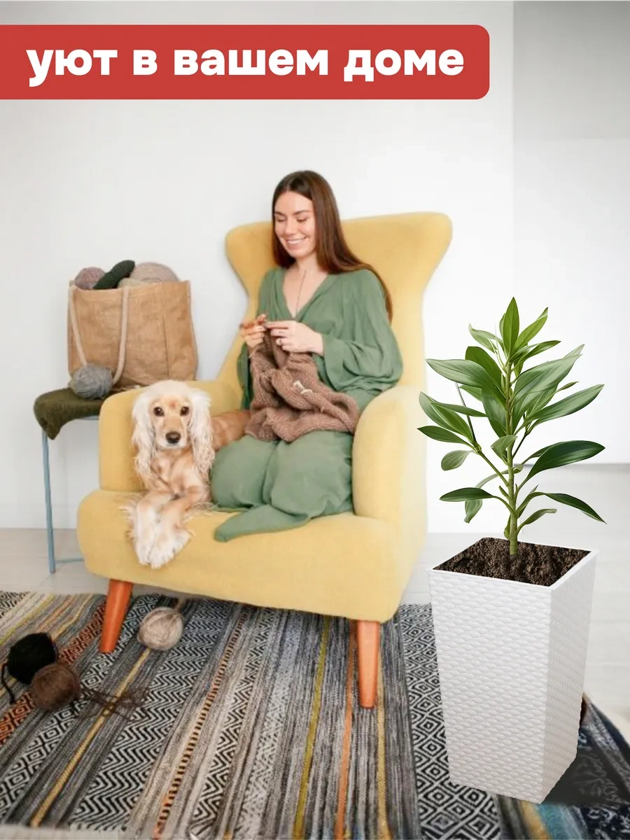 Crafy Çiçek Saksısı Yer Tipi 273518379