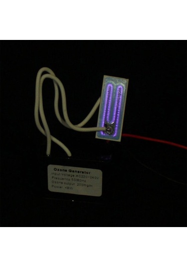 Gatherco Ev Ozon Jeneratörü Hava Temizleyici Ozonizer Çıkış Yoğunluğu 200mg/h Hava Temizleyici Ozon Jeneratörü Ac110v 200mg