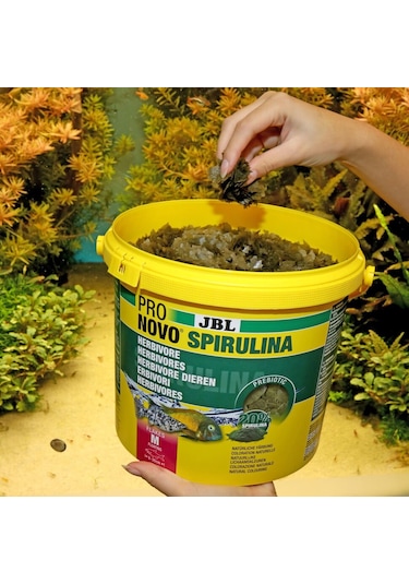 Jbl Pro Novo Spirulina Flakes M 5,5lt 950gr.