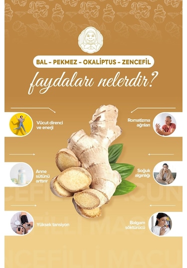 Zühre Ana Zencefilli Macun 240 G