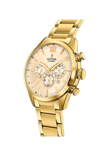 Festına F20633/4 Tımeless Chronograph Erkek Kol Saati Altın