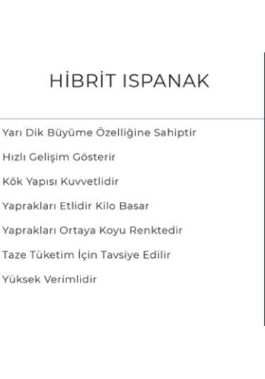 Ispanak Tohumu Ulak 10 Kg