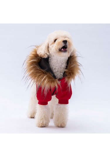 Pawstar Kırmızı Charles Polarlı Kedi Köpek Montu