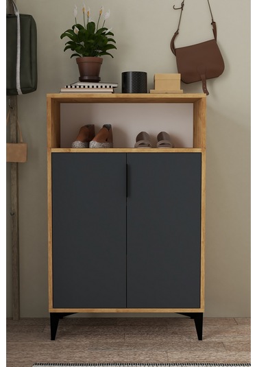 1204 Ada Ayakkabılık 4 Raflı 2 Kapaklı Çok Amaçlı Dolap Antrasit Safir Antrasit Safir