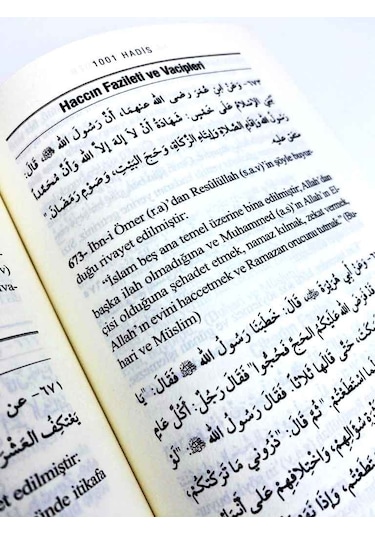 Kütübi Sitteden 1001 Hadis Roman Boy