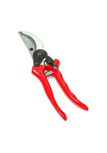 Pazly Meyve Makası, Makası, Makası Budama Budama Bahçe Ağaçları Cq