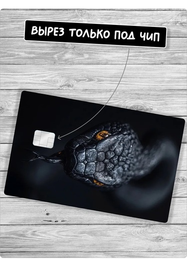 Stadi Banka Kartı Çıkartması Yılan 304790683