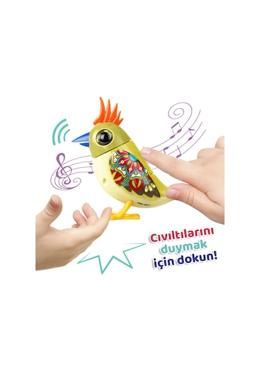Digibirds Tekli Paket Seri 2 - Model 4