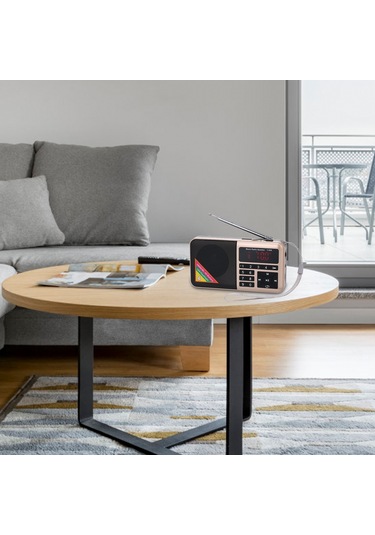 Springsun Y-509 Modeli Fm Radyo: Led Fenerli, Mp3 Çalar, 1500mah Şarj Edilebilir Pil Ve Usb Kablosu İçeren Taşınabilir Cihaz