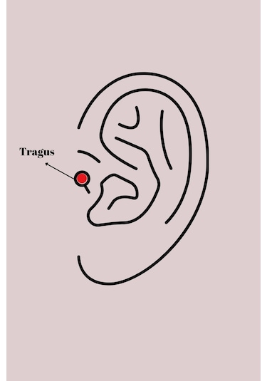 Ceylan Adam 316l Çelik Gümüş Renk Zirkon Taşlı Yaprak Model Tragus Piercing Çok Renkli