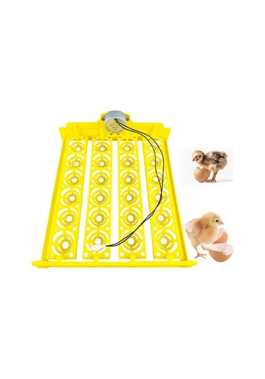 Pazly Yumurta Tepsisi Tavuk Suntek İnkübatörü Döndürme Aleti, Hv
