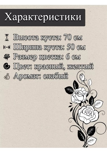 "abracadabra" Gül Fidanı