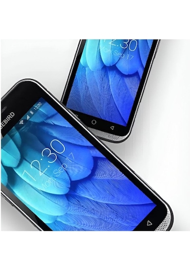 Blue Bird Ef501 Android El Terminali 64 Gb Anroid 10 Teshir