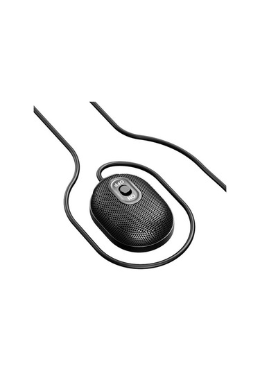 Wondernest Canlı Yayın Mikrofonu Çevrimiçi Toplantı Sınıfı Yakınlaştırma İçin 43763932 Kondenser Mikrofon