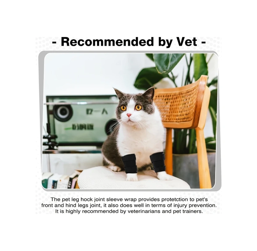 Gateesat Siyah 2li Orta Boy Köpek Dizlik Seti - Yaralanma Burkulma Koruma