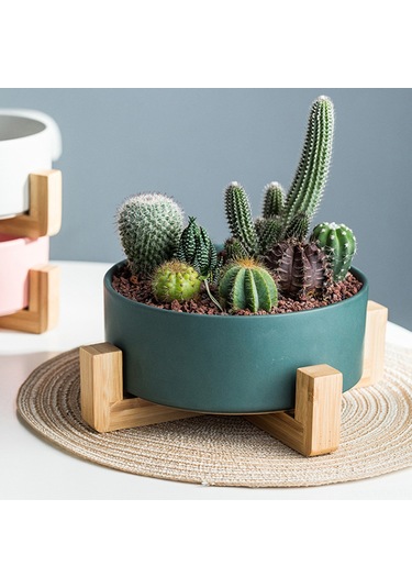 Neevoyu Yeşil Mini Seramik Bitki Kasesi, Bambu Ayağa Sahip, Sualtı Ve Sukulent İçin, Deliksiz Taban, Ev Dekoru