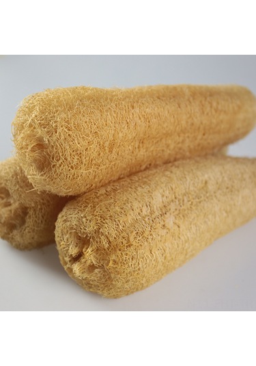 Hangfox Ev Kullanıma Ideal 30-39 Cm 3 Adet Doğal Patates Kabağı, Fırça Ve Yıkama Bezi İçin Dayanıklı Ve Pratik Kullanım Haki