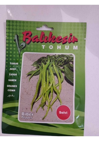 Balıkesir Tohum Biber Selvi