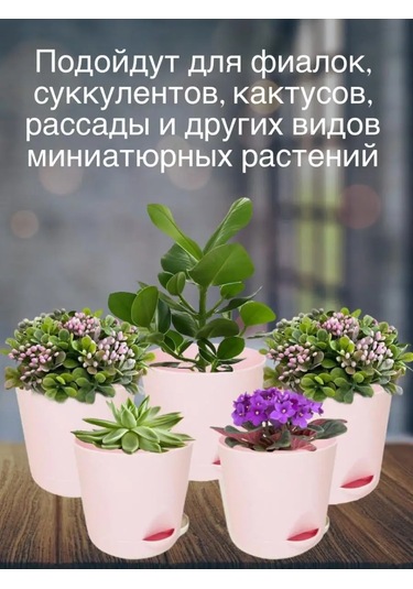 Interm Meyan Çiçeği Saksısı Küçük Plastik Saksı Seti 104978040