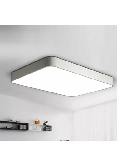 Tra54061 Eco 60X30 Cm Led Avize Plafonyer On4Gen