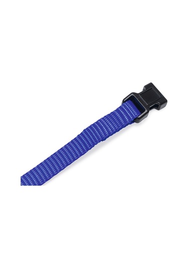 Beeztees Yavru Köpek Boyun Tasması, Çeşitli Renklerde, 22-35cm, 10mm Çok Renkli