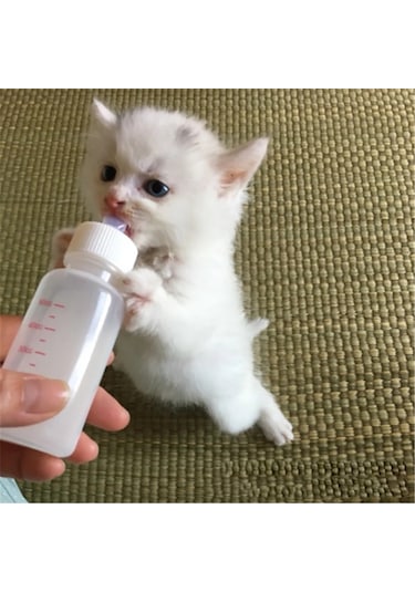 Tineke Yavru Kedi Köpek Biberonu 2 Emzikli 50 ML